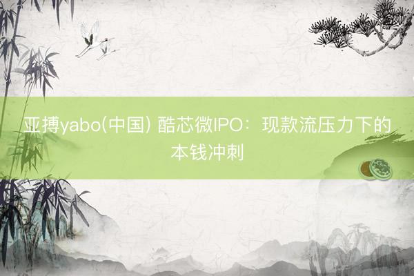 亚搏yabo(中国) 酷芯微IPO：现款流压力下的本钱冲刺