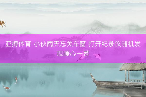 亚搏体育 小伙雨天忘关车窗 打开纪录仪随机发现暖心一幕
