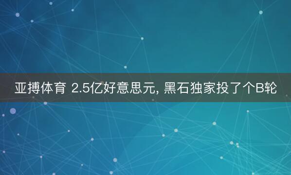 亚搏体育 2.5亿好意思元， 黑石独家投了个B轮