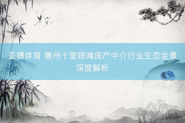 亚搏体育 惠州十里银滩房产中介行业生态全景深度解析
