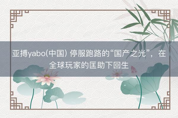 亚搏yabo(中国) 停服跑路的“国产之光”，在全球玩家的匡助下回生