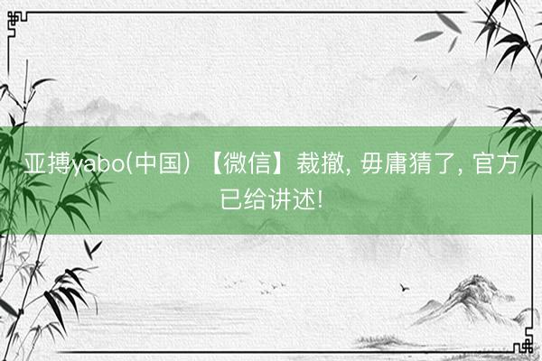 亚搏yabo(中国) 【微信】裁撤， 毋庸猜了， 官方已给讲述!