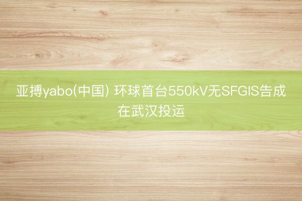 亚搏yabo(中国) 环球首台550kV无SFGIS告成在武汉投运