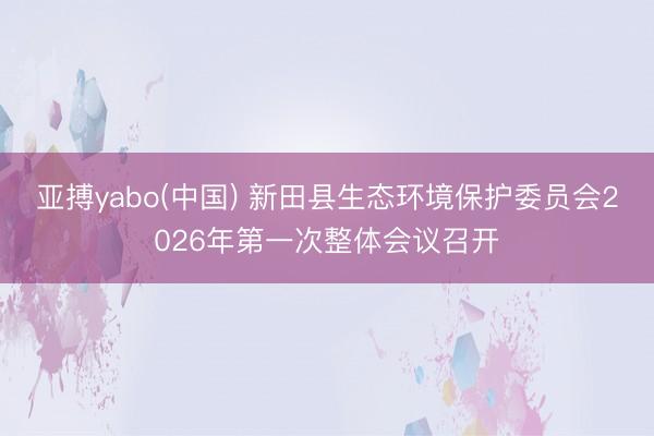 亚搏yabo(中国) 新田县生态环境保护委员会2026年第一次整体会议召开