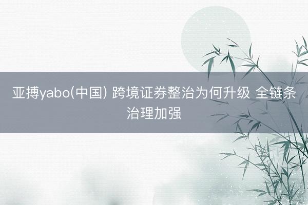 亚搏yabo(中国) 跨境证券整治为何升级 全链条治理加强
