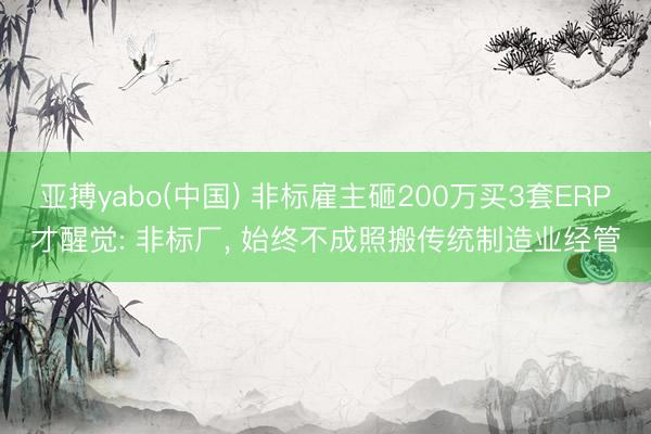 亚搏yabo(中国) 非标雇主砸200万买3套ERP才醒觉: 非标厂， 始终不成照搬传统制造业经管