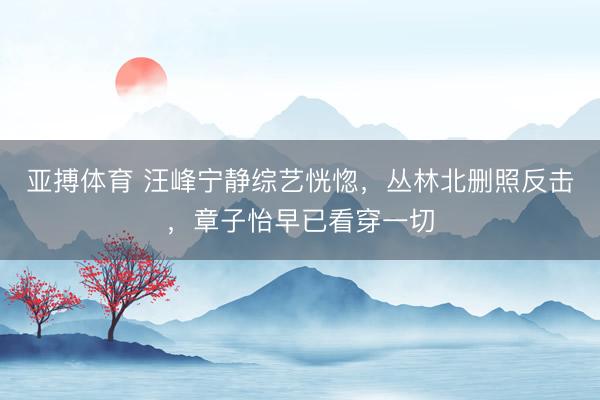 亚搏体育 汪峰宁静综艺恍惚，丛林北删照反击，章子怡早已看穿一切