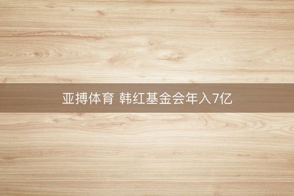 亚搏体育 韩红基金会年入7亿