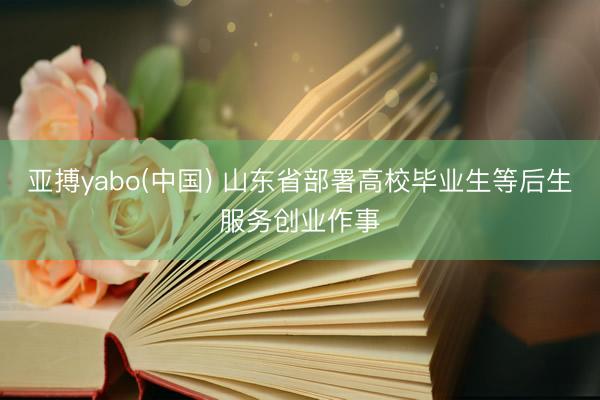 亚搏yabo(中国) 山东省部署高校毕业生等后生服务创业作事