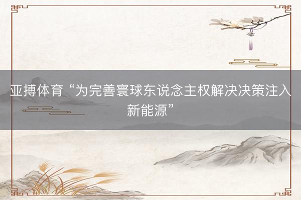 亚搏体育 “为完善寰球东说念主权解决决策注入新能源”