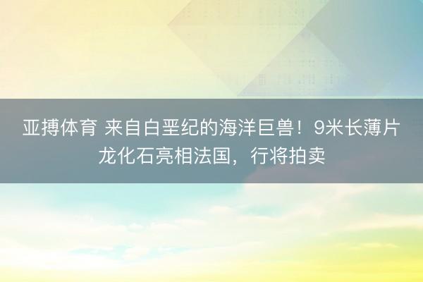 亚搏体育 来自白垩纪的海洋巨兽！9米长薄片龙化石亮相法国，行将拍卖