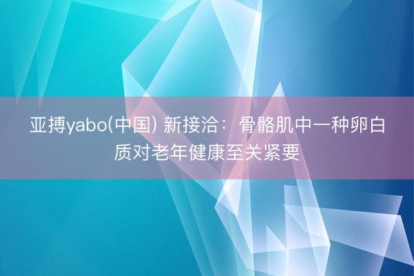 亚搏yabo(中国) 新接洽:骨骼肌中一种卵白质对老年健康至关紧要