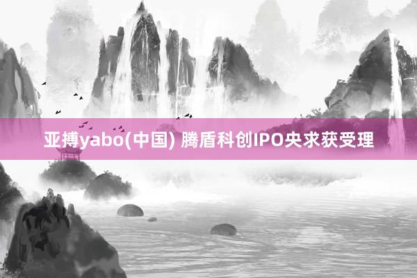 亚搏yabo(中国) 腾盾科创IPO央求获受理